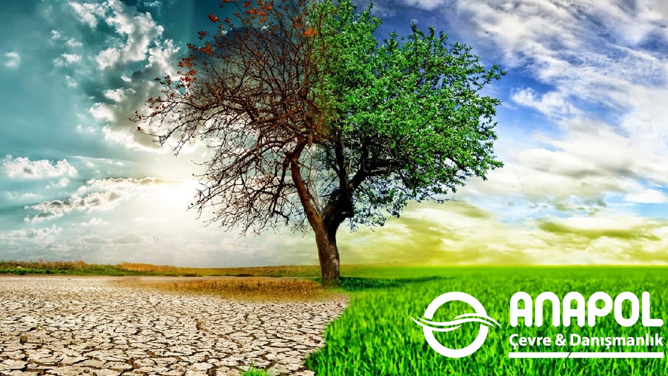 Laboratuvar Hizmetlerimiz