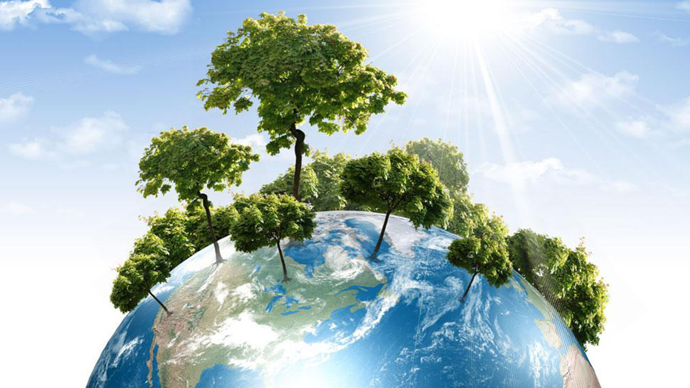 Çevre Danışmanlığı