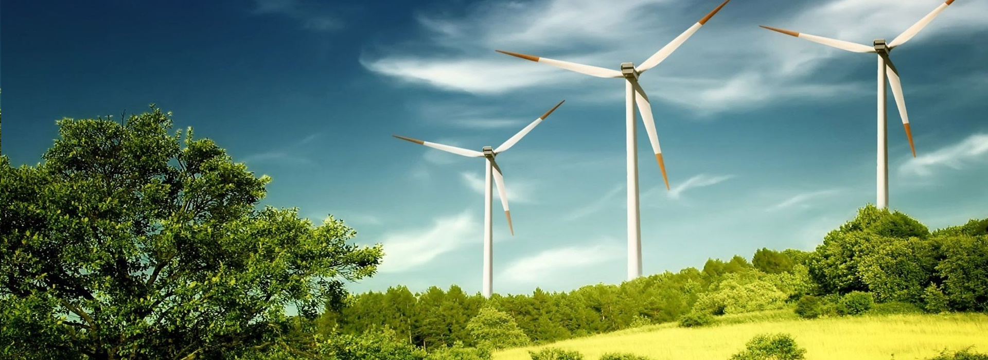 ÇED RAPORU DANIŞMANLIK HİZMETLERİNDE  SİZİNLEYİZ…